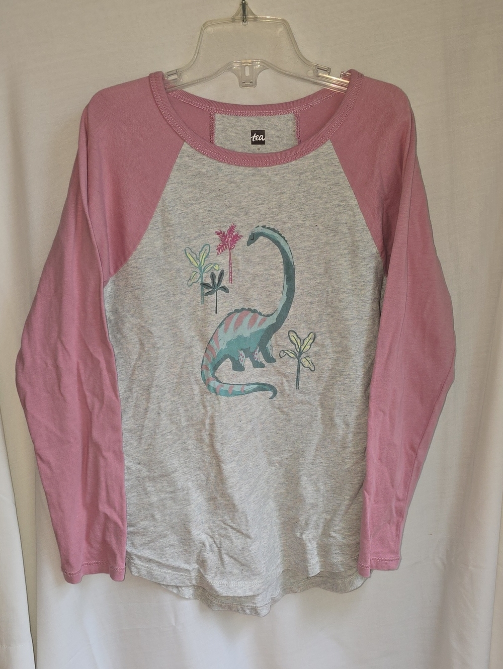 Tea Collection Pink-Sleeve Gray Body Long Sleeve Dinosaur Tee